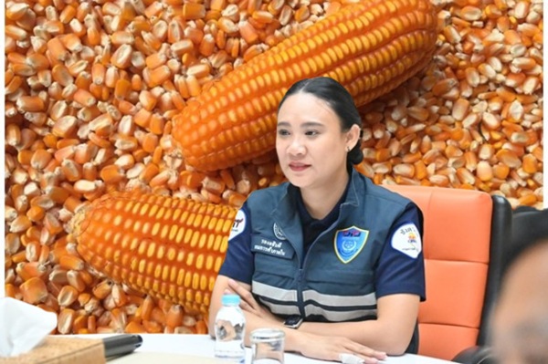ญาณี ศรีมณี r