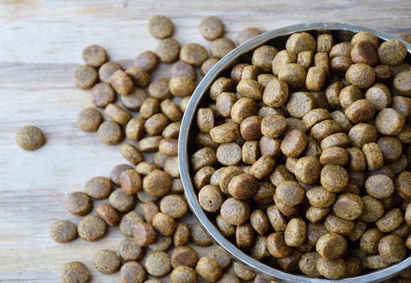 พาณิชย์ เผย'อาหารสัตว์เลี้ยง'มีโอกาสส่งออกฟิลิปปินส์ หลังคนนิยมเลี้ยงสัตว์เพิ่มขึ้น