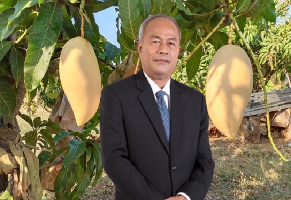 พาณิชย์ ขึ้นทะเบียน GI มะม่วงน้ำดอกไม้สีทองพิษณุโลก เพิ่มมูลค่าผลไม้ท้องถิ่น