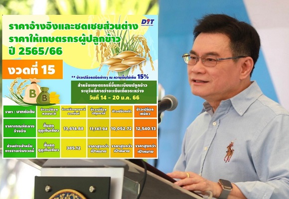 พาณิชย์ เคาะส่วนต่างข้าว งวดที่ 15 จ่ายแค่ 1 ชนิด อีก 3 ราคาทะลุเพดาน หอมมะลิจบฤดู