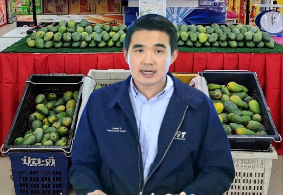 เกษตรกรยิ้ม! 'พาณิชย์'ดึงห้างท้องถิ่นซื้อ 'มะม่วงเขียวมรกต'ดันราคาพุ่งกระฉูด