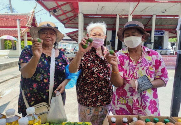 พาณิชย์ เชื่อมโยงมะนาว ขายราคาส่งผ่านโมบายพาณิชย์ ทั่ว กทม.ตลอดเดือนเม.ย.นี้