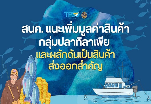 สนค.แนะเพิ่มมูลค่าสินค้ากลุ่มปลาทิลาเพีย และผลักดันเป็นสินค้าส่งออกสำคัญ