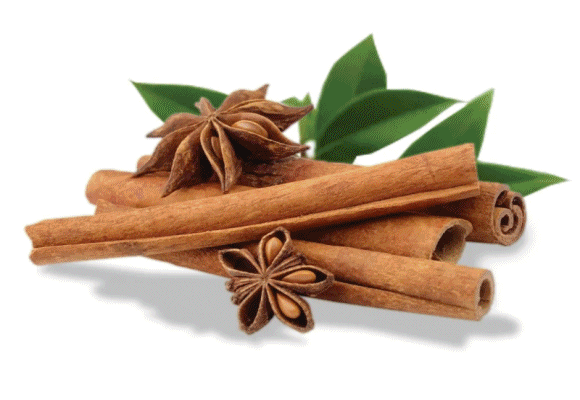 Cinnamon'อบเชย' เวียดนามส่งออก ครองอันดับหนึ่งของโลก