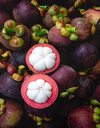 8867 KR mangosteen