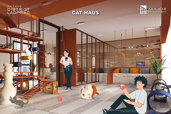 1596 Cat Haus