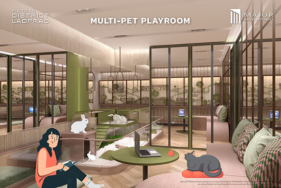 1596 Multi Pet Play Room