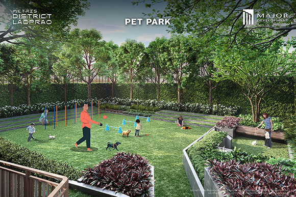 1596 Pet Park