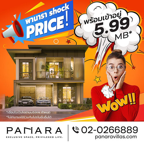 4286 PANARA Shock Price