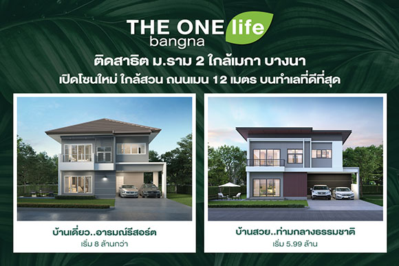 6513 TheOneLife Bangna