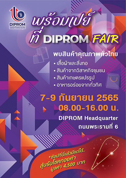 9131 DIPROM Fair