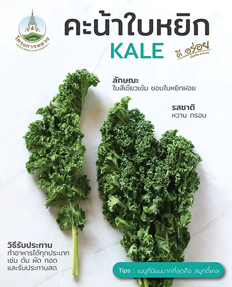 2157 Makro Kale