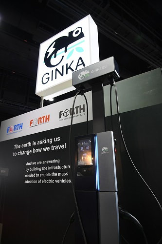 2539 FSMART GINKA 02