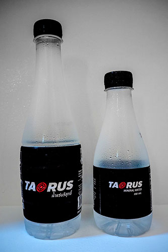 4927 Taorus