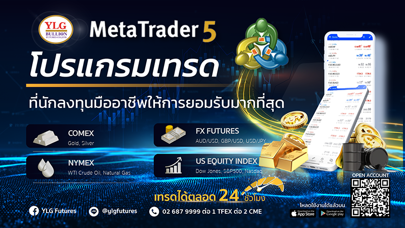 5450 YLG MetaTrader5