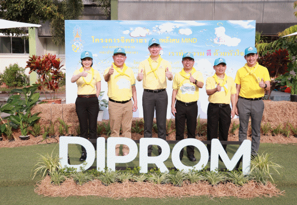 6024 DIPROM