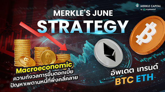 6073 Merkle