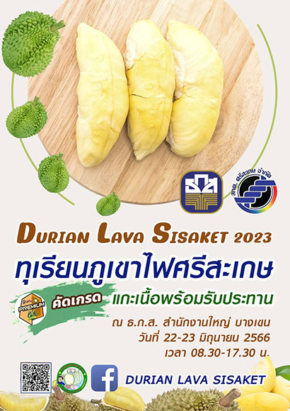 6736 BAAC48 durian srisaket