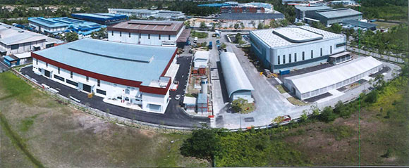 6765 Avee Plant