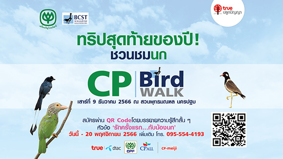 11011 CP Birtd Walk