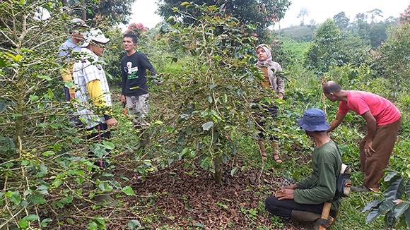 11472 Coffee Field School 01