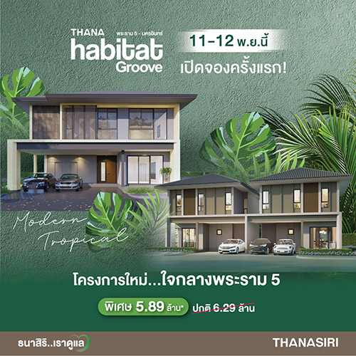 11475 THANA Habitat Groove