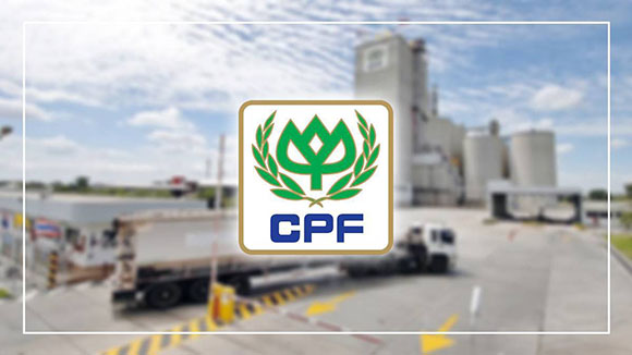 11536 CPF logo