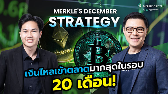 12119 Merkle