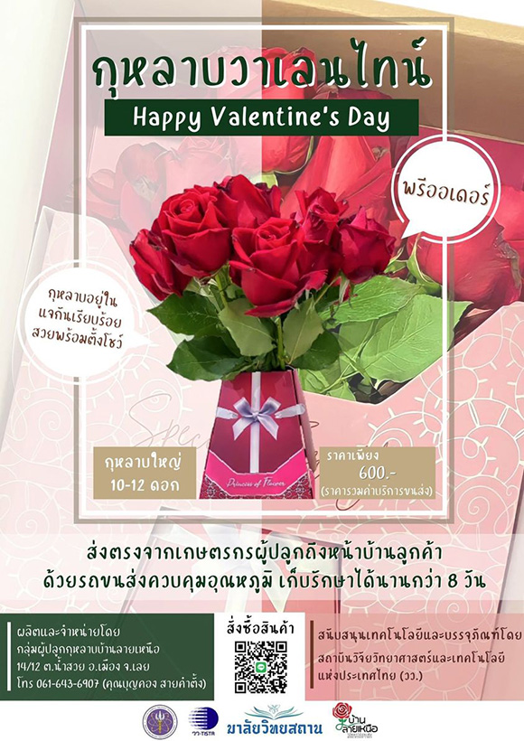 วว. ต้อนรับเดือนแห่งความรัก พรีออเดอร์ ‘กุหลาบวาเลนไทน์’ ส่งตรงจากกลุ่มเกษตรกรจังหวัดเลย