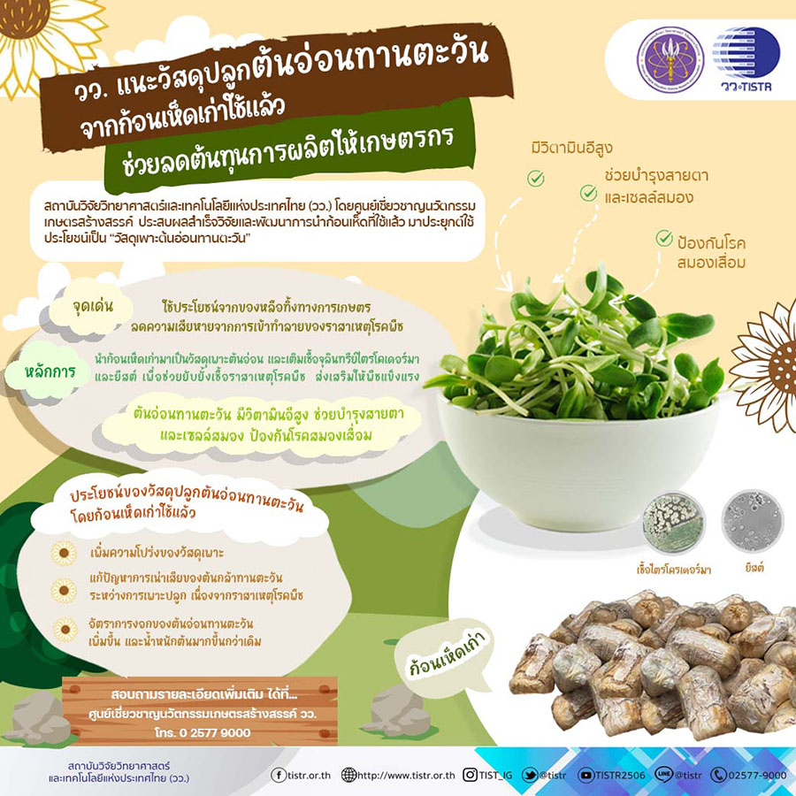 4753 วว แนะวัสดุปลูกต้นอ่อนทานตะวัน