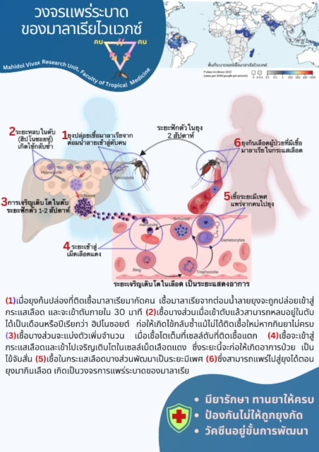 5208 Mahidol02