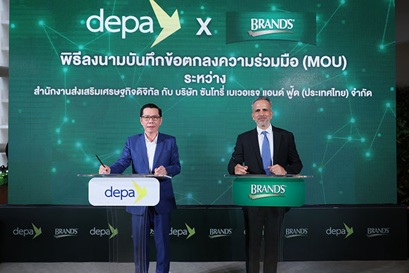 5298 depa Brands02
