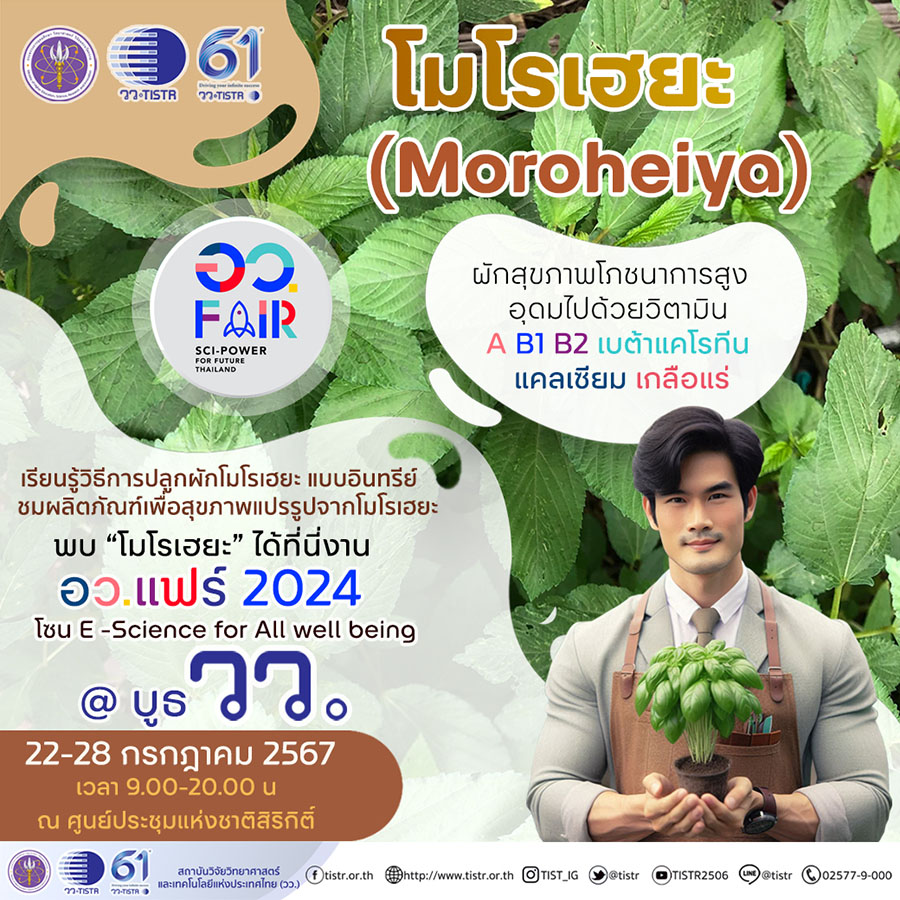 7339 วว อวแฟร์ 4