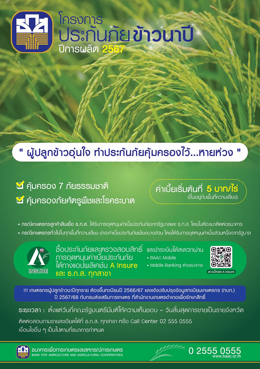 ธ.ก.ส. พร้อมดำเนินโครงการประกันภัยข้าวนาปี ปี 67 ตามมติครม. เริ่มแล้ววันนี้