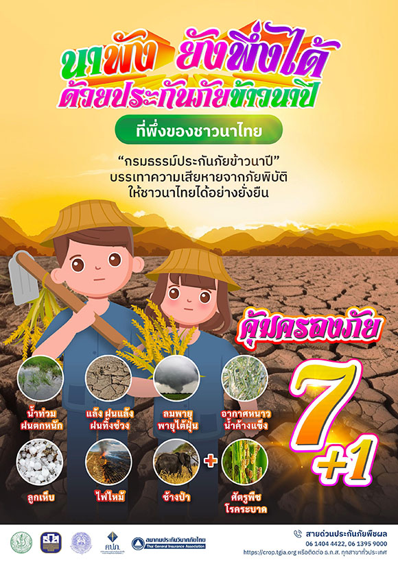 7726 TGIA Rice info1