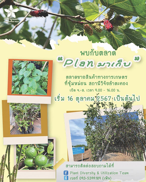 วว. ชวนเที่ยวตลาด ‘Plan มาเก็บ’ ณ สถานีวิจัยลำตะคอง นครราชสีมา