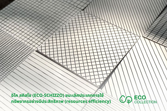 11145 cotto eco schizzo1