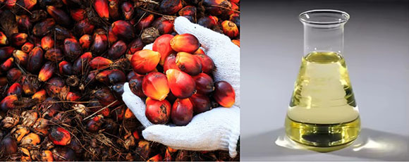 3322 วว methyl ester