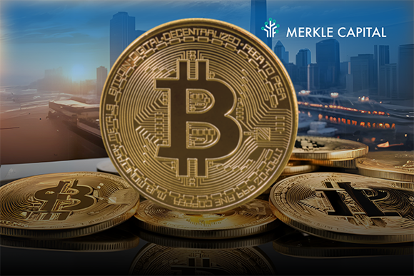 4619 Merkle