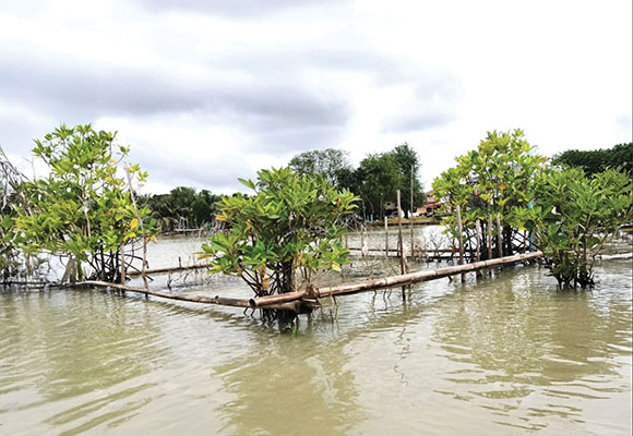 ‘บ้านปลามีชีวิต’ ฟื้นทรัพยากรสัตว์น้ำ ฟื้นชีวิตประมงพื้นบ้าน ทะเลสาบสงขลา