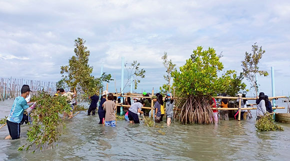 6228 บ้านปลามีชีวิต 3