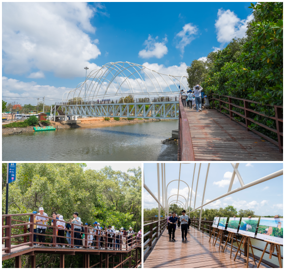 6370 ป่าชายเลนพระเจดีย์กลางน้ำ