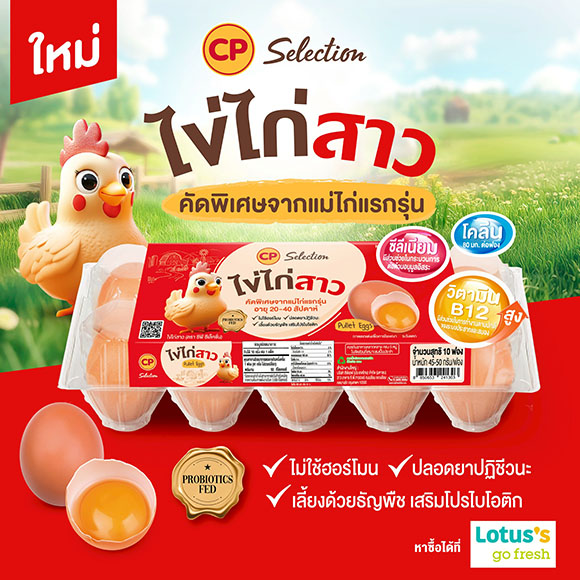 6520 CP ไข่ไก่สาว