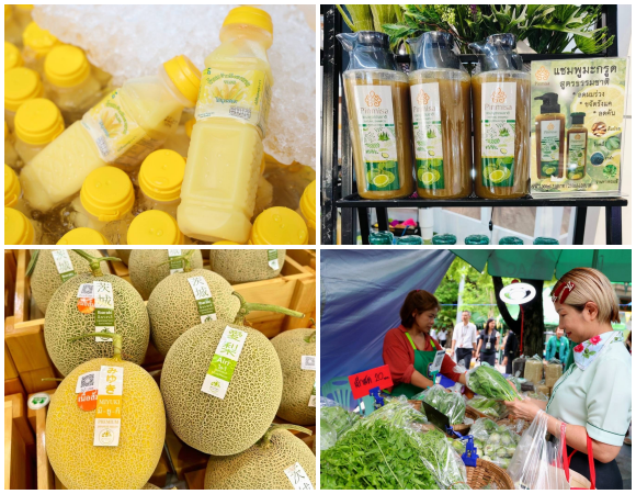 7498 BAAC ตลาดนัด2