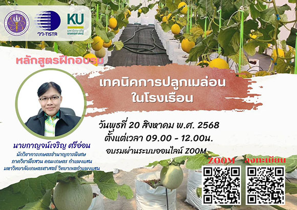 8156 วว เทคนิคการปลูกเมล่อนในโรงเรือน