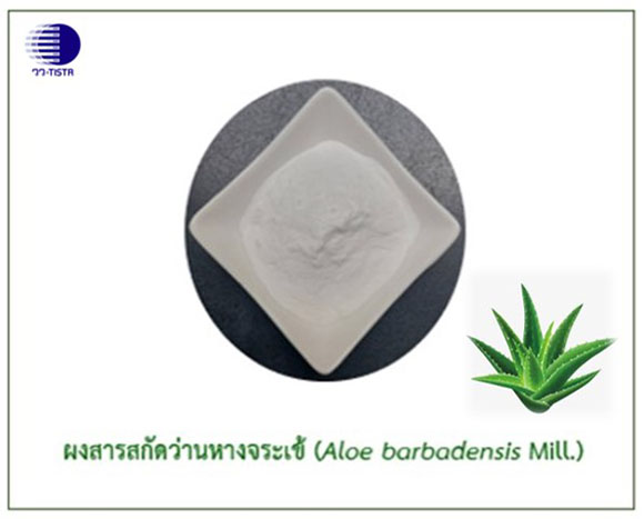 8395 วว ผงสารสกัดว่านหางจระเข้