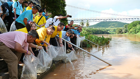 8569 TIP 7 ปล่อยปลา