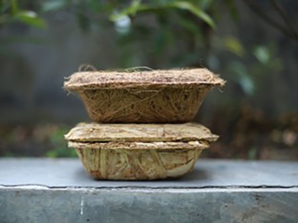 9129 ภาชนะรักษ์โลก1