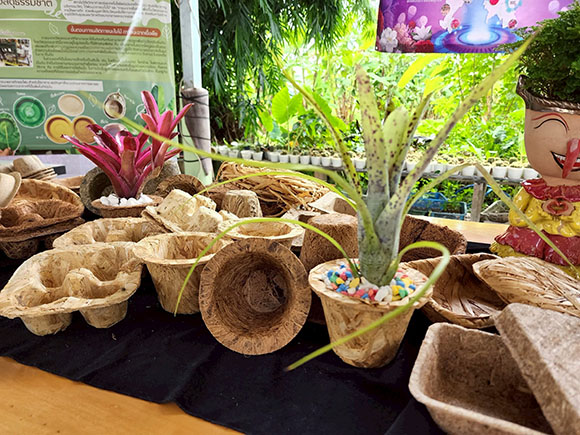 9129 ภาชนะรักษ์โลก2