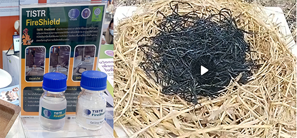 9129 เจลหน่วงการติดไฟ